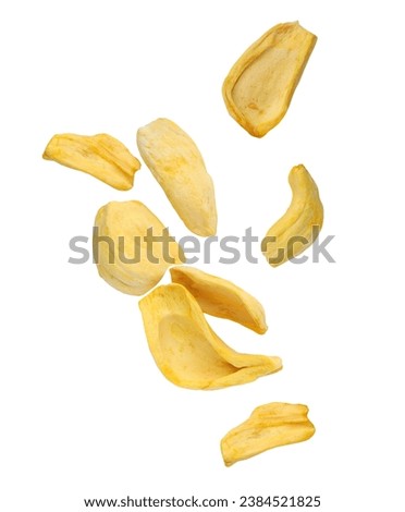Falling dried jackfruit fruit isolated on white background. dried jackfruit fall. With clipping path.