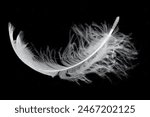 Falling Feather Overlays, White Feather, Summer Digital Overlay, Spring Overlays, Photography, Angel wings photo overlays.