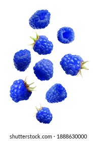 Falling Fresh Tasty Blue Raspberries On White Background