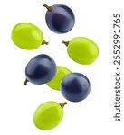 Falling Grape, isolated on white background, clipping path, full depth of field