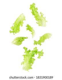 Falling Green Lettuce, Salad Leaves Isolated On White Background.