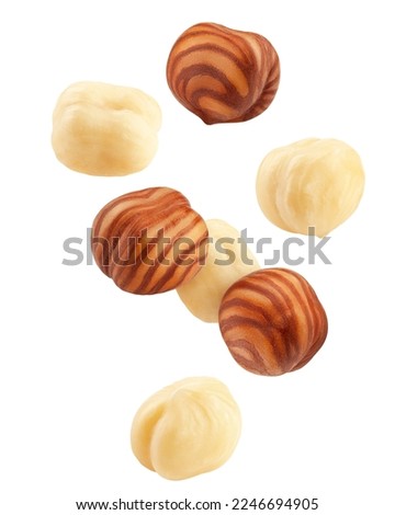 Falling Hazelnut peeled, isolated on white background, clipping path, full depth of field
