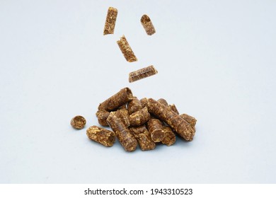 Falling Individual Pellets On A Slide Of Pellets On A Light Background. Wood Sawdust Pressed Into Pellets And Prepared According To A Certain Technology. Environmentally Friendly Fuel.