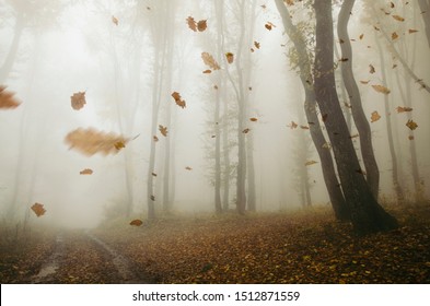 falling leaves blowing in the wind in autumn forest landscape