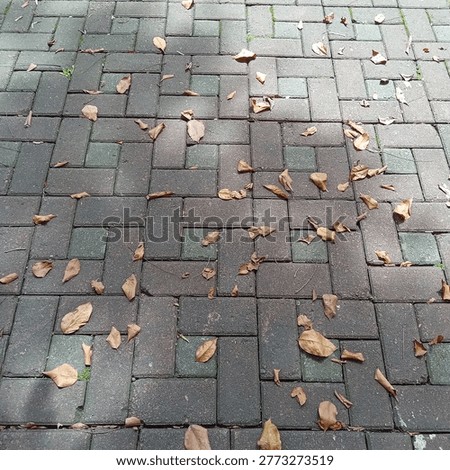 Falling leaves never hate the wind