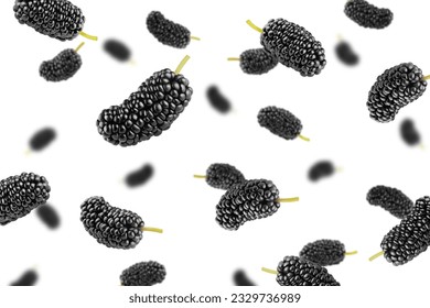 Falling Mulberry isolated on white background, selective focus