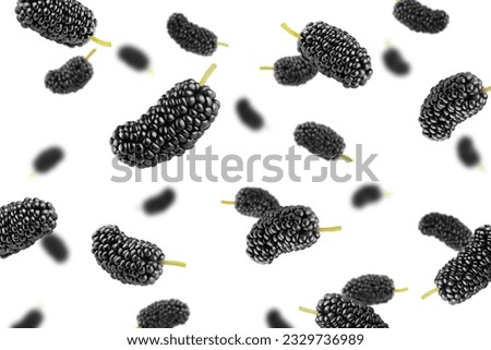Falling Mulberry isolated on white background, selective focus