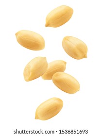 Falling peanut isolated on white background, clipping path, full depth of field