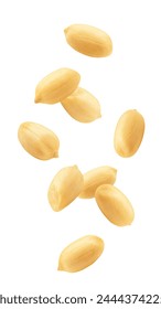 Falling peanut isolated on white background, clipping path, full depth of field