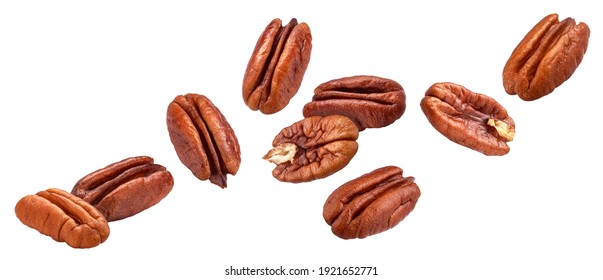 Falling pecan nuts isolated on white background with clipping path