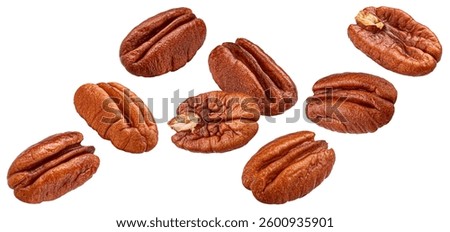 Falling pecan nuts isolated on white background, package design element