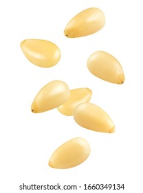 Falling Pine nuts isolated on white background, clipping path, full depth of field