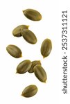 Falling Pumpkin seed, isolated on white background, full depth of field