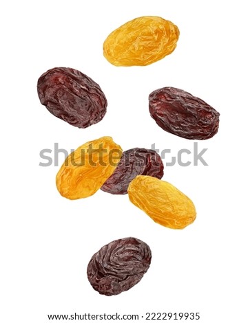 Falling Raisin isolated on white background, clipping path, full depth of field