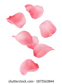 Falling Rose petal, isolated on white background, clipping path, full depth of field - Shutterstock ID 1873563844