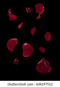 Falling Rose Petals Isolated On Black