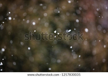 Image, Stock Photo Snow/Rain Nature Air