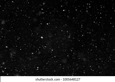 Falling Snow On A Black Background