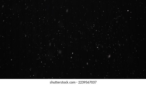 Falling snow on a black background. Selective focus. nature. - Powered by Shutterstock