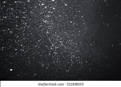 Falling Snow On Black Background.