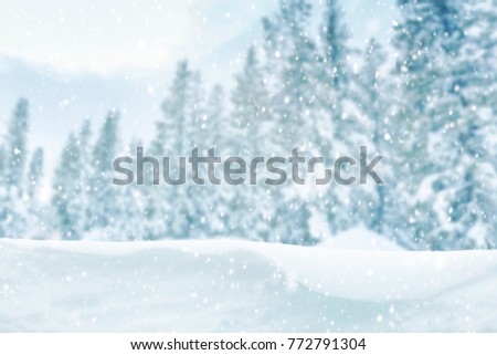 Falling snow on forest trees, winter landscape  
