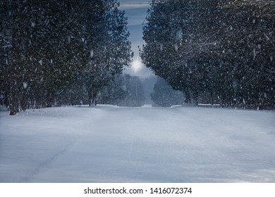 Falling snow on winter path