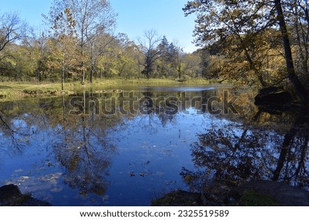 Falling Spring is located in Mark Twain National Forest in Missouri, near Alton and Winona.  The spring water forms a small pond that is home to various aquatic life.