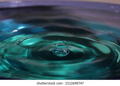 647 Bluegreen Images, Stock Photos & Vectors | Shutterstock