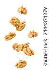 Falling walnut, nut, isolated on white background, clipping path, full depth of field