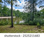 Falling Waters State Park, Chipley, Florida