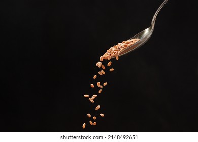 Falling Wheat Grains From A Spoon On A Black Background. Shallow Depth Of Field