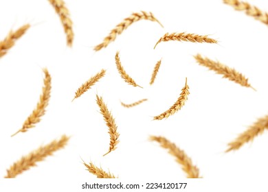 Falling Wheat isolated on white background, selective focus - Shutterstock ID 2234120177