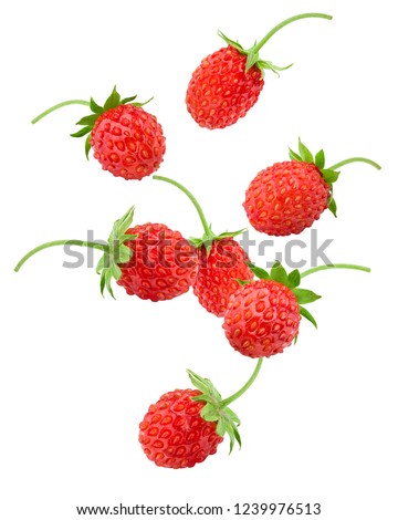 Falling Wild strawberry isolated on white background, clipping path, full depth of field