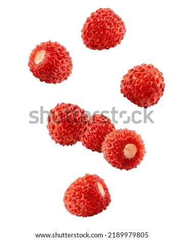 Falling wild Strawberry isolated on white background, clipping path, full depth of field