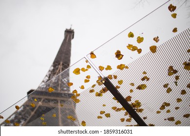 Falling Yellow Leafs On Glass Roof With Eifel Tower Background