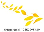 Falling yellow petals of sunflower isolated on a white background. Sunflower petals in air. Flying petals.