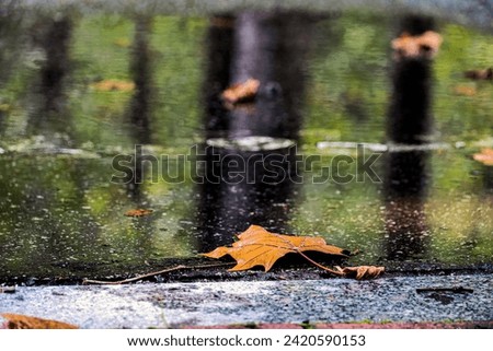 Image, Stock Photo bonnet decoration