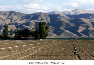 Fallow field with dramaticly bare desert San Emigdio Mountains in the San Joaquin Valley, California. 2014