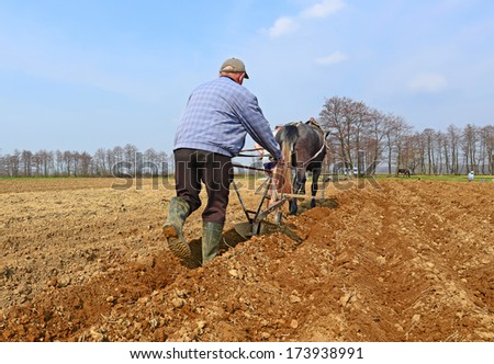 Fallowing of a spring field by a manual plow on horse-drawn