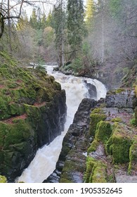 Falls Of Braan In The Hermitage Woods Perthshire Scotland 