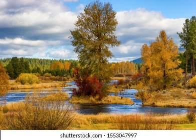 Falls Colors Along The Williamson River In Rural Klamath County, Oregon