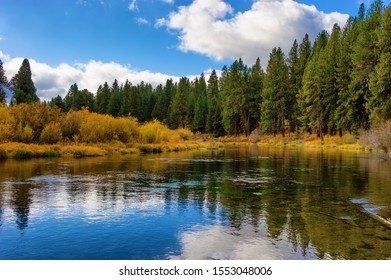 Falls Colors Along The Williamson River In Rural Klamath County, Oregon