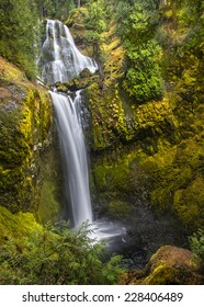 Falls Creek Falls In Autumn