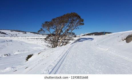 Falls Creek, Victoria Australia