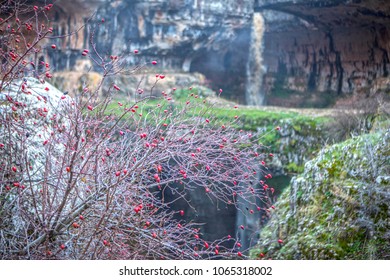 Falls In The Mountains Of Lebanon -Baatara Gorge Waterfall. The Waterfall Drops 255 Metres Into The Baatara Pothole, A Cave Of Jurassic Limestone Located On The Lebanon Mountain Trail.