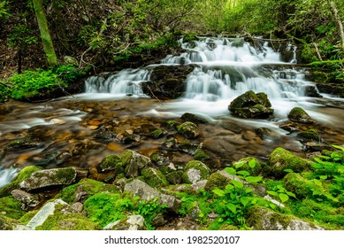 Falls On Gentry Creek. Laurel Bloomery, TN.