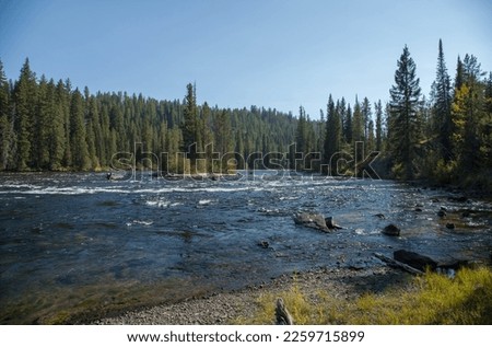 Falls River in Caribou-Targhee National Forest, Wyoming