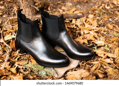 Fall/winter Woman Shoes. Boots On Autumn Background. Shoes Poster.