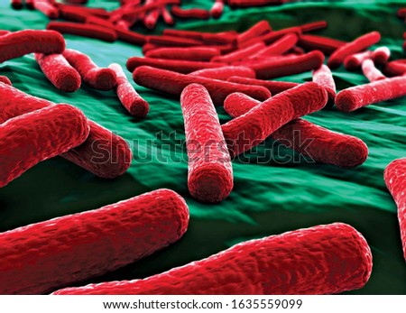 False-colour image of Escherichia coli, a species of Gram-negative anaerobic bacteria.