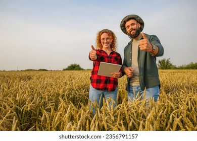 Family agricultural occupation. Man and woman are cultivating wheat. They are satisfied with good progress of plants. - Shutterstock ID 2356791157